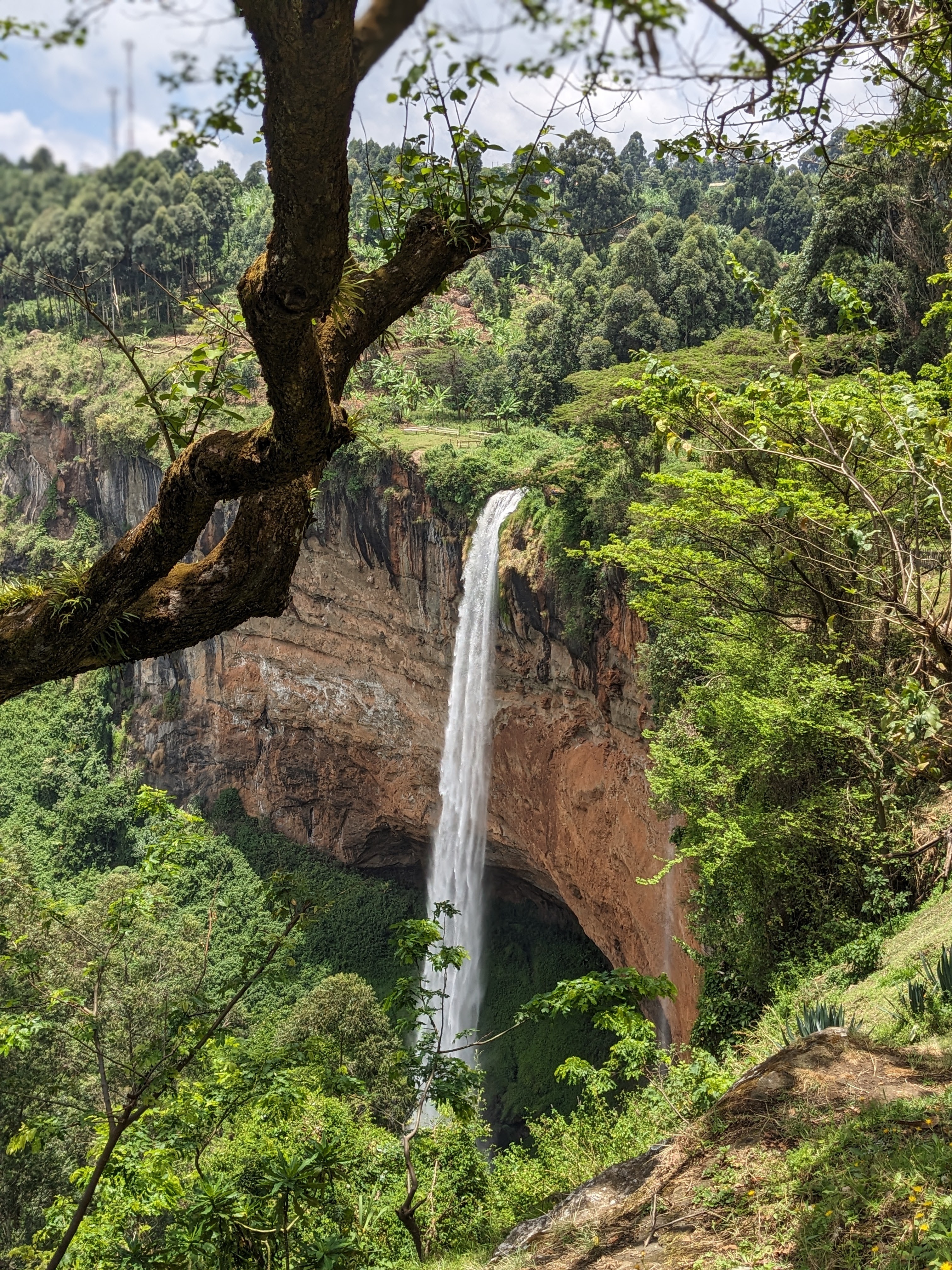 Mount Elgon Hiking Experience  - Popular safari activity in East Africa with 1 tour packages
